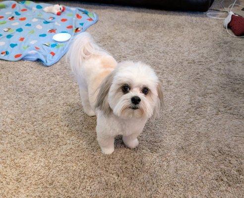 photo of Patricia F.