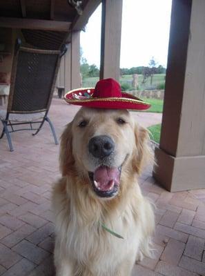 photo of Straight T.