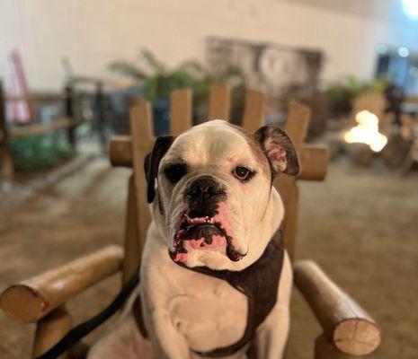 photo of Elizabeth L.