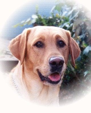 Photo of Sam C.