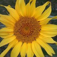 photo of Michelle W.