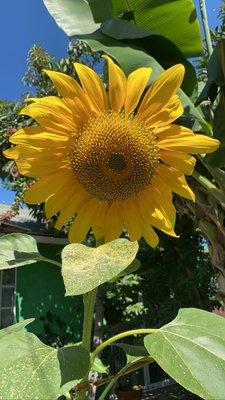 photo of Gabriela R.