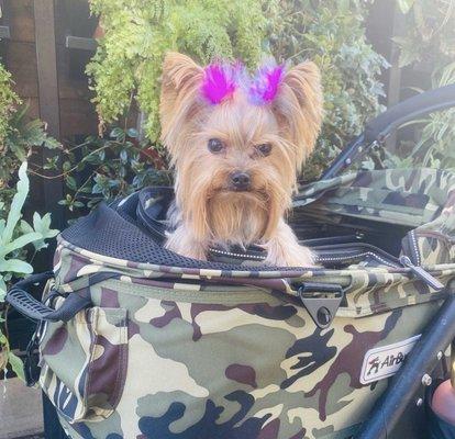 photo of christina c.