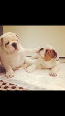 photo of Christina G.