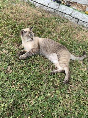 photo of Samantha C.