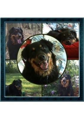 photo of Stephanie S.