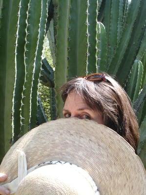 Photo of laura f.