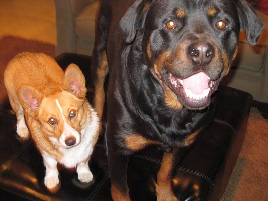 Photo of Jennifer A.