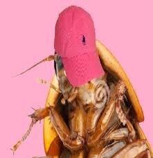 Photo of Roach R.