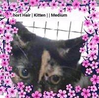 Photo of Marnie R.