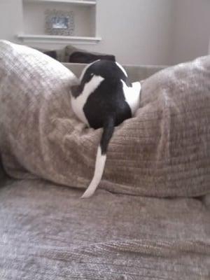 photo of Jennifer B.