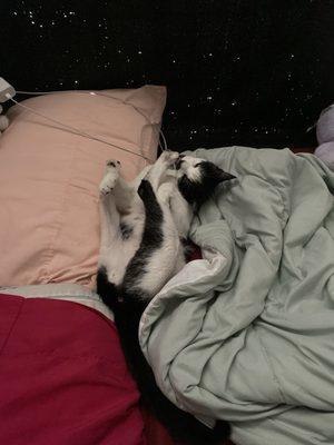 photo of Nathaniel B.