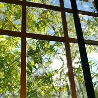 photo of Sun Young P.