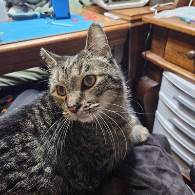 photo of Victoria M.