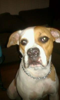 Photo of Michelle N.