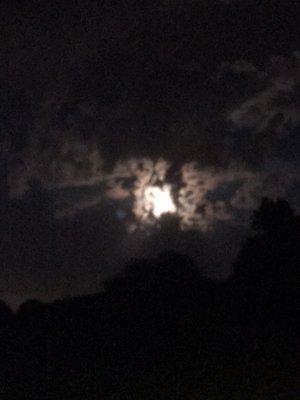 photo of George Mary M.