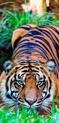 photo of Kathleen B.