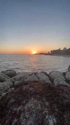 photo of Sharkyy_Erwin