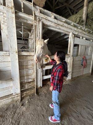 photo of Michelle L.