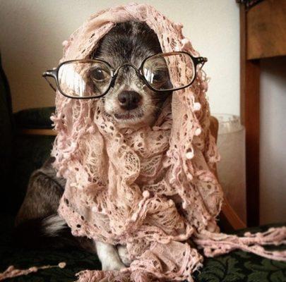 photo of Jennifer K.