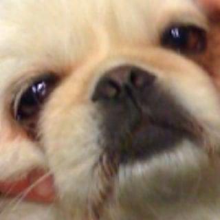 photo of Frownyface N.