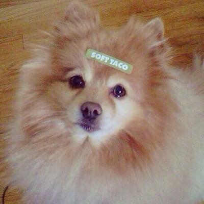 Photo of Christina S.