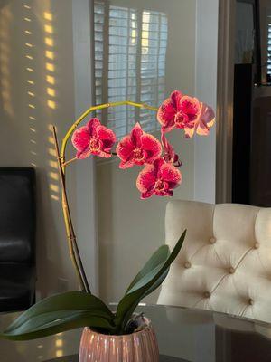 photo of Maureen P. F.