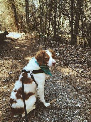 photo of Mary Ann A.