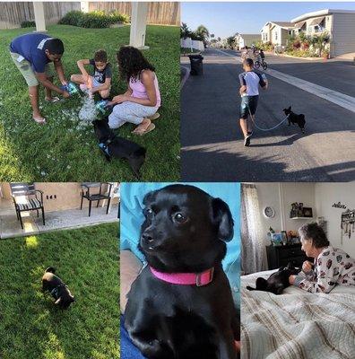 photo of Grateful M.