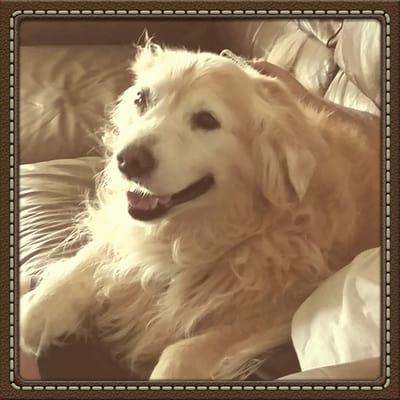 photo of Jennifer P.