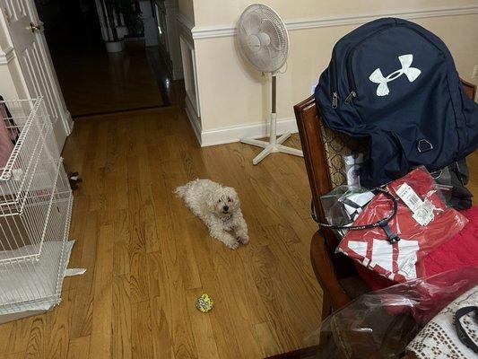 photo of Benjamin G.