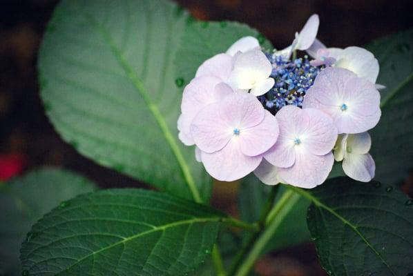 photo of Kathleen H.