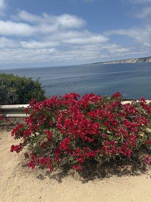 Photo of Gisselle G.