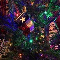 photo of Wilfredo R.