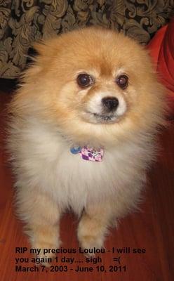 Photo of JJ Y.