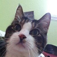 Photo of Abbie A.