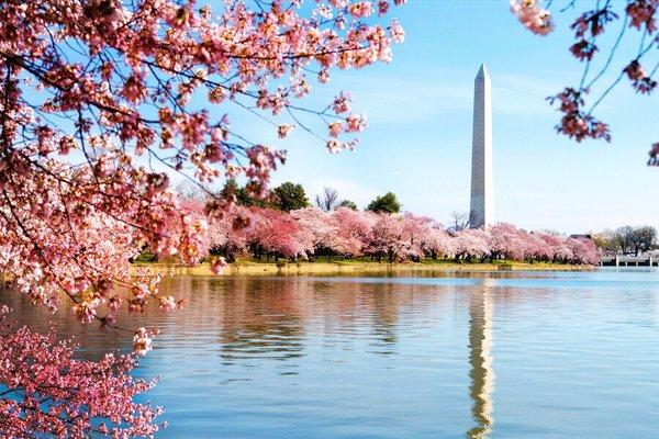 photo of Jennifer R.