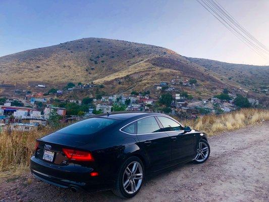 photo of Marcello T.