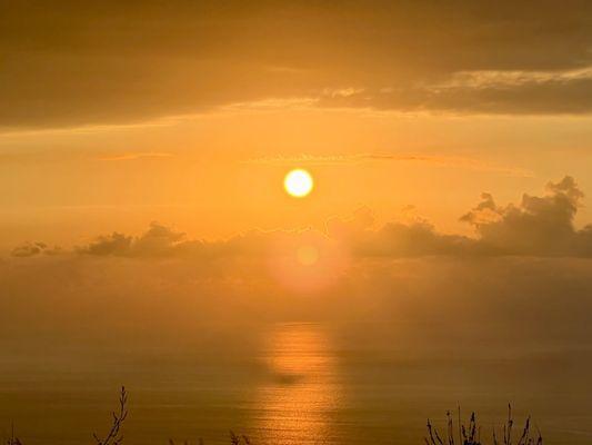 Photo of Josephine C.