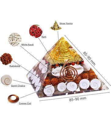 photo of Manishkumar P.