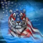 photo of Kristina B.