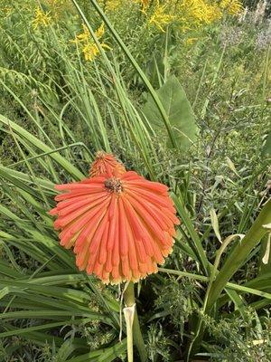 photo of Michelle B.