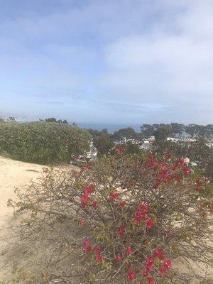 Photo of Melissa S.