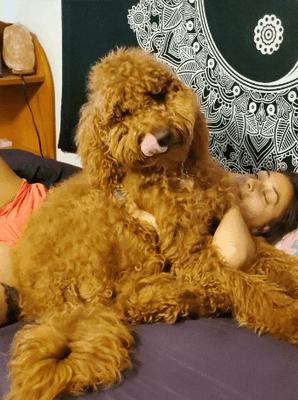 photo of Mamachelle P.