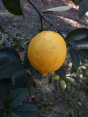 photo of Traveling M.