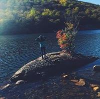 Photo of Krystal P.