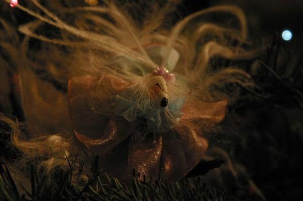 Photo of Elizabeth M.