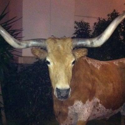 Photo of Nicholas T.