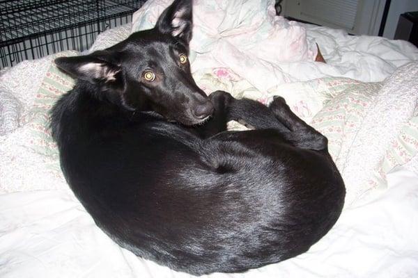 Photo of Suzy B.