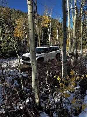 photo of Stephanie C.